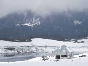 images